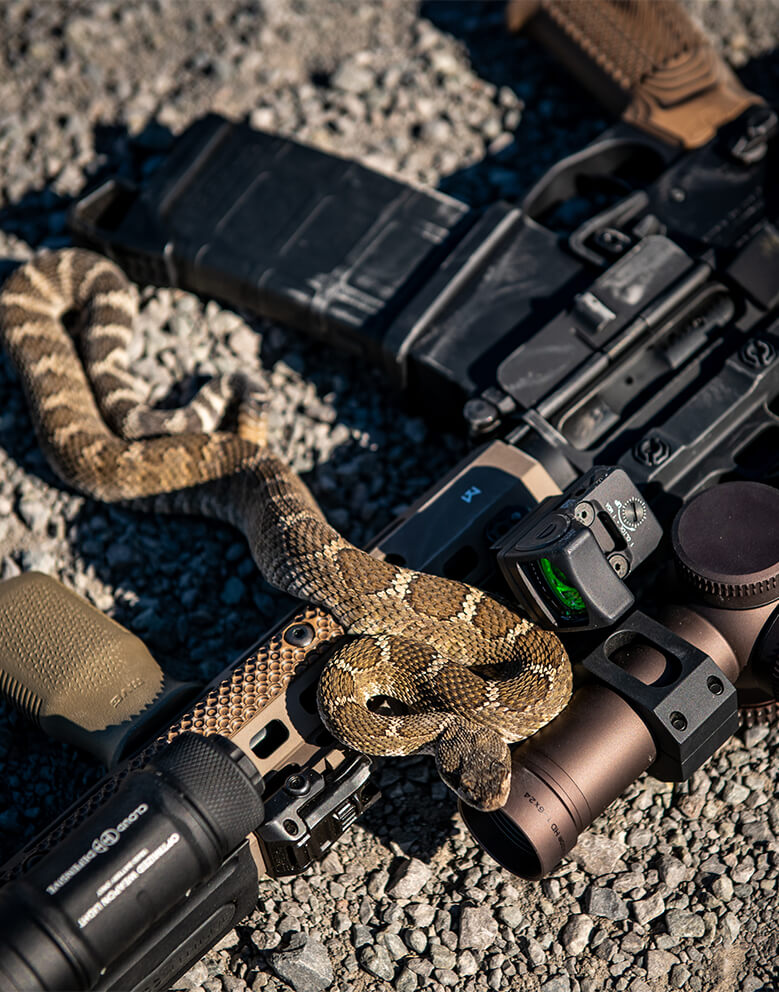 Rattle snake ontop of UIC MOD2 Pistol