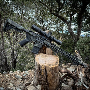 Special Edition Firearms